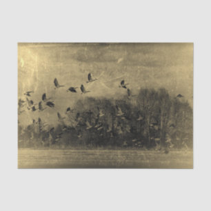 Papel De Seda Gansos Vintage Antigo Sepia Textura Grunge