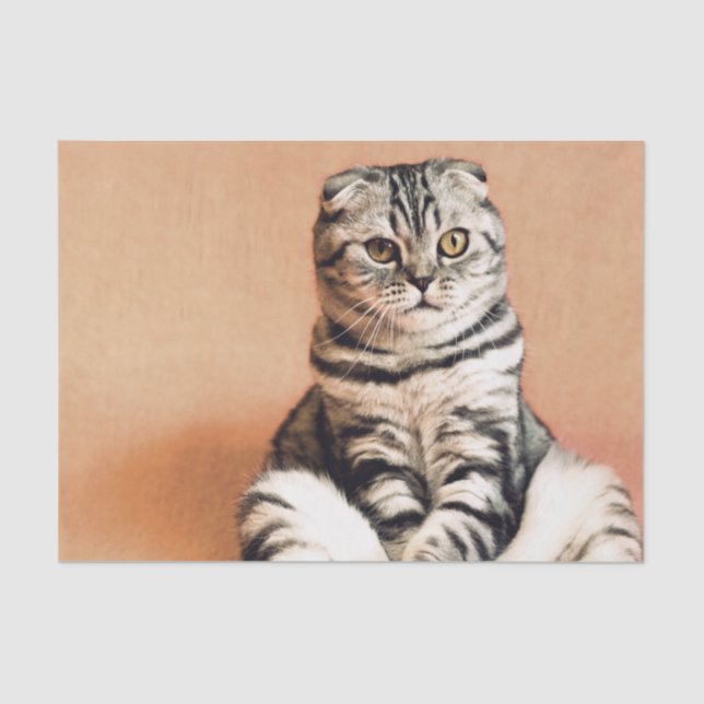 Papel De Seda Gatinho Bonito Desenterrado (Frente )