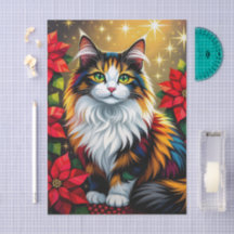 Gatinho Calico Fofo e Natal de Poinsettia