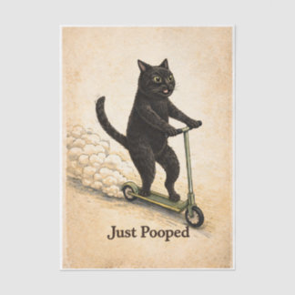 Papel De Seda Gatinho Frenético