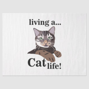 Papel De Seda Gatinho Gato Engraçado