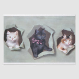 Papel De Seda Gatinhos antigos quebrando embrulho de presente fo