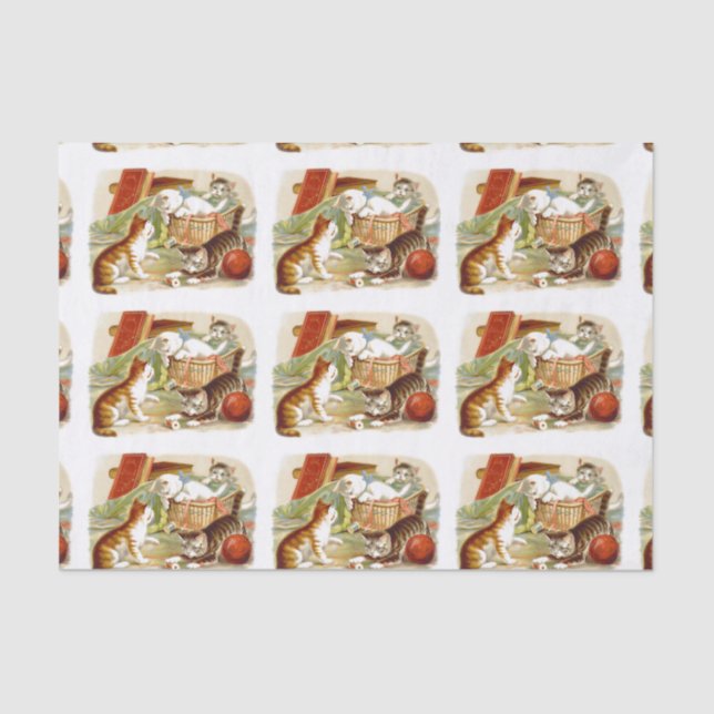 Papel De Seda Gatinhos em um jogo da cesta (Frente )