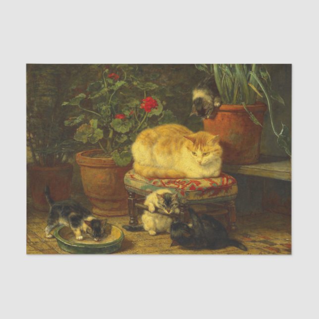 Papel De Seda Gatinhos no Play (Frente )