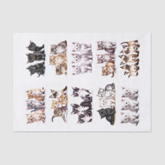 Papel De Seda Gatinhos Reproduzíveis em Conjuntos de Três Cortes