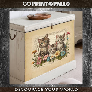 Papel De Seda Gato bonito na composição das flores -