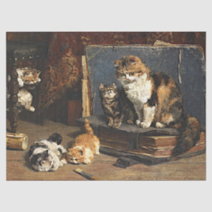 Papel De Seda Gato Branco e Preto-Cor-de-Laranja-Vintage com Gat