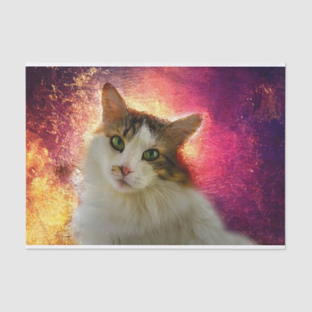 Papel De Seda Gato de Calico Cento Adorável (Frente )