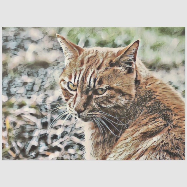 Papel De Seda gato-do-ouro (Frente )
