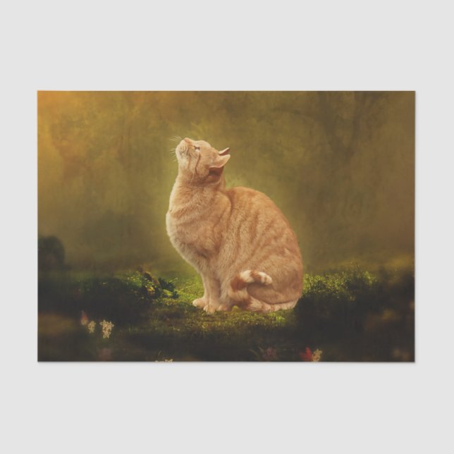 Papel De Seda Gato e fada (Frente )