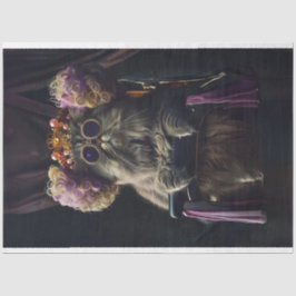 Papel De Seda Gato em Salão com Desvinculação de Personalidade