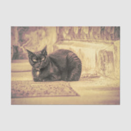 Papel De Seda Gato Preto Fofo Antigo Antiguidade Arte Sépia