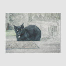 Papel De Seda Gato Preto Fofo Antigo Decoupagem Antiga