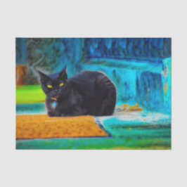 Papel De Seda Gato Preto Fofo Colorido Azul Laranja Decoupage
