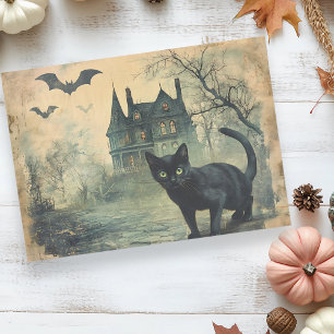 Papel De Seda Gato Preto Vintage Decoupage de Halloween