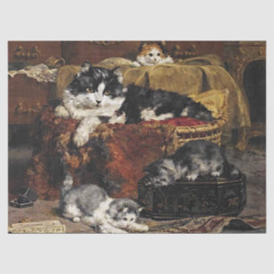 Papel De Seda Gatos Brancos E Bonitos De Vintage, Pretos E Branc