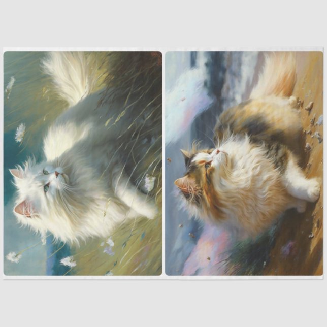 Papel De Seda Gatos do Dia do Vento (Frente )