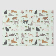 Gatos Fofos e Decoupage de Plantas Domésticas