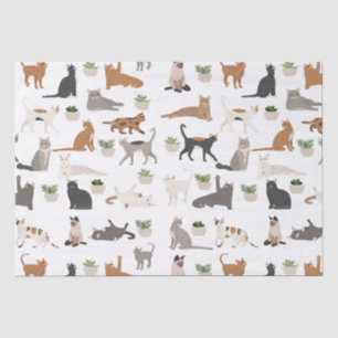 Papel De Seda Gatos Fofos e Plantas Domésticas Decoupage