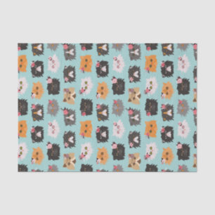 Papel De Seda Gatos persas extravagantes