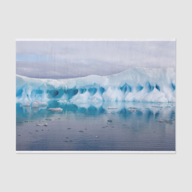 Papel De Seda Gelo na Antártica (Frente )