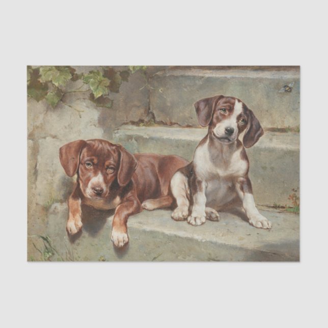 Papel De Seda Gestorte Siesta por Carl Reichert (Frente )