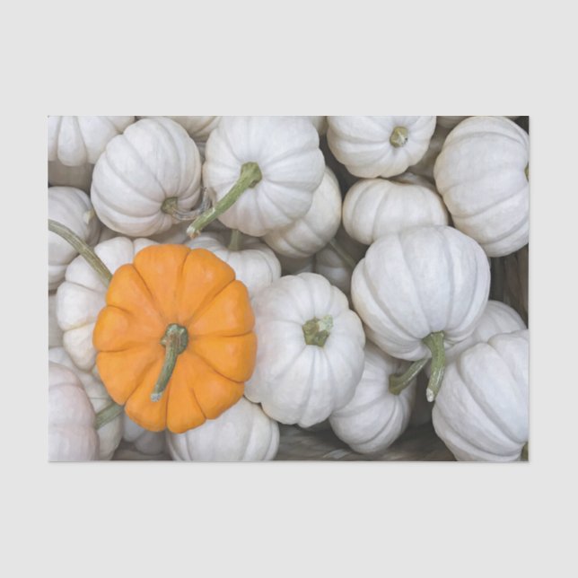 Papel De Seda Ghost Pumpkins com uma laranja esgueirada (Frente )