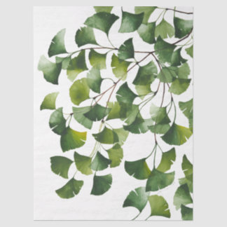 Papel De Seda Ginkgo Biloba Verde - 