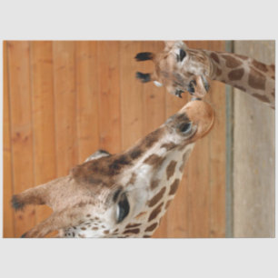 Papel De Seda Giraffe_20151101_by_JAMFoto