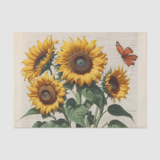 Papel De Seda Girassóis Felizes e Abertos com Borboleta (Frente )