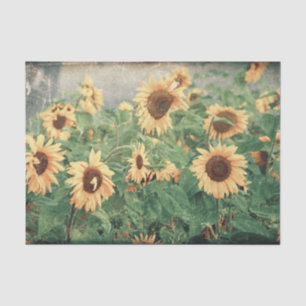 Papel De Seda Girassóis Gigantes - Arte Amarela de Decoupage