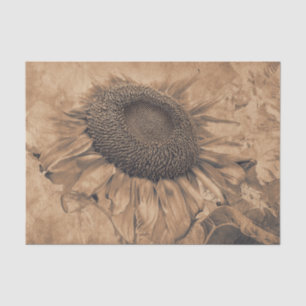 Papel De Seda Girassóis Gigantes Vintage Sepia Brown - Arte de 