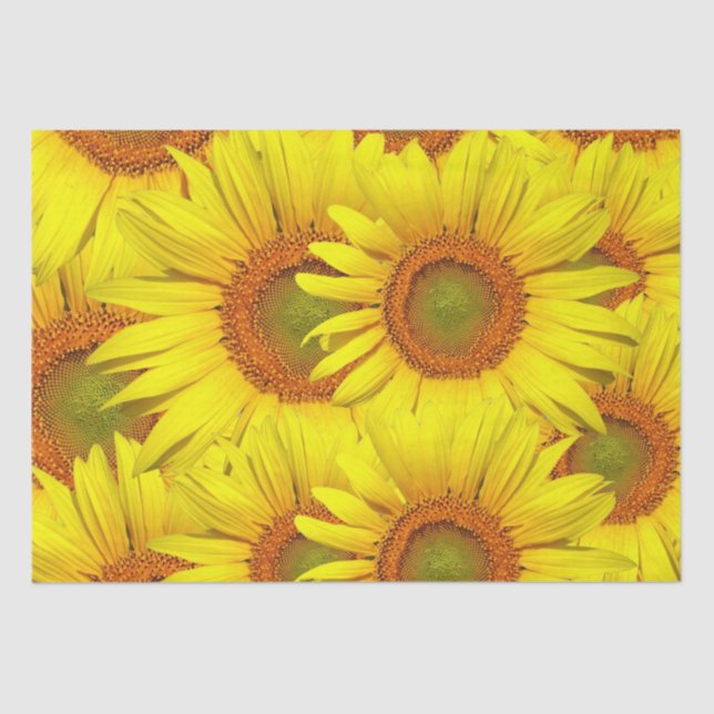 Papel De Seda Girassóis País Russo Floral Verão Amarelo (Frente )