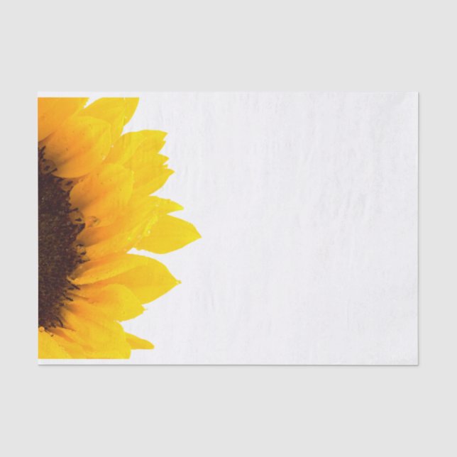 Papel De Seda Girassol Amarelo e Marrom sobre Branco (Frente )