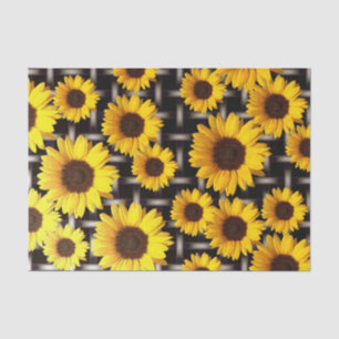 Papel De Seda Girassol amarelo grande e grade industrial