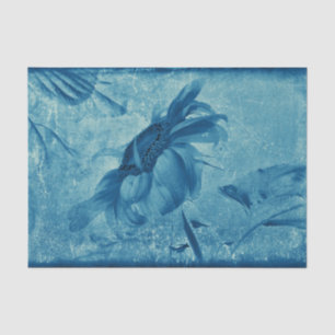 Papel De Seda Girassol Cianotipia Azul Vintage Antigo Grunge