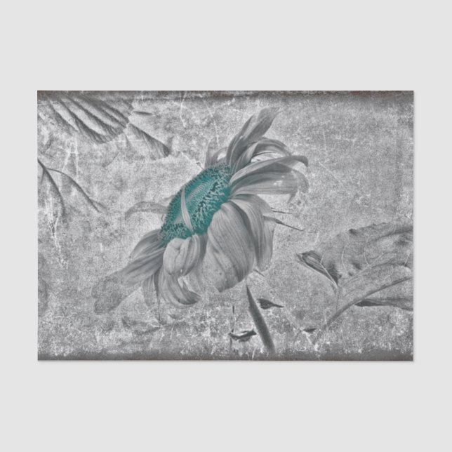 Papel De Seda Girassol Cinza Azul Vintage Textura Antiga (Frente )