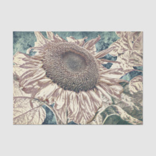 Papel De Seda Girassol Gigante Antigo Decoupage Arte em Teal Sép