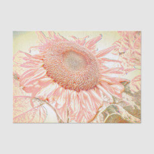 Papel De Seda Girassol Gigante Arte Decoupage Rosa Pastel Vintag