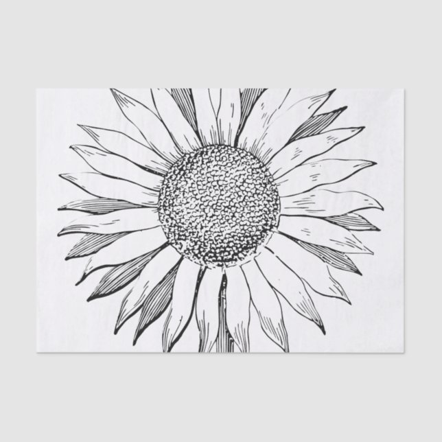 Papel De Seda Girassol Ilustrado (Frente )