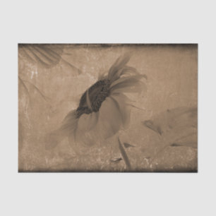 Papel De Seda Girassol Sépia Marrom Vintage Antigo Textura Antig