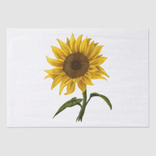 Papel De Seda Girassol Sunshine Floral Watercolor Flor