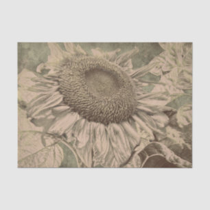 Papel De Seda Girassol Tom Sepia Marrom Textura Decoupage Arte