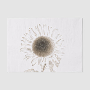 Papel De Seda Girassol Único Desenho Artístico Antigo Sépia