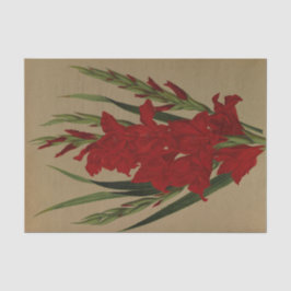 Papel De Seda Gladiolus Gandavensis. Var. Brench Leyensis