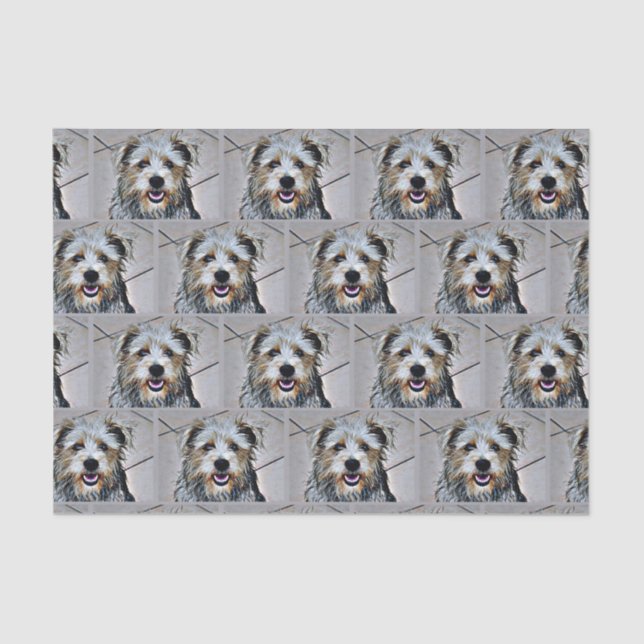 Papel De Seda Glen de Imaal Terrier (Frente )