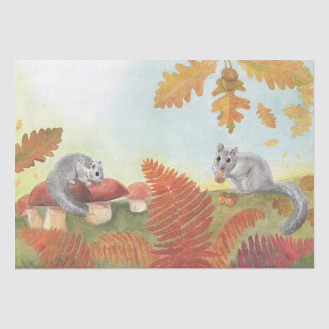 Papel De Seda Glis Glis - Dormouse europeu (Frente )