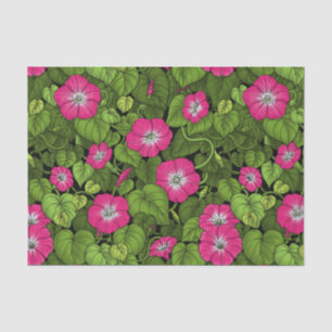 Papel De Seda Glória da manhã em rosa e verde