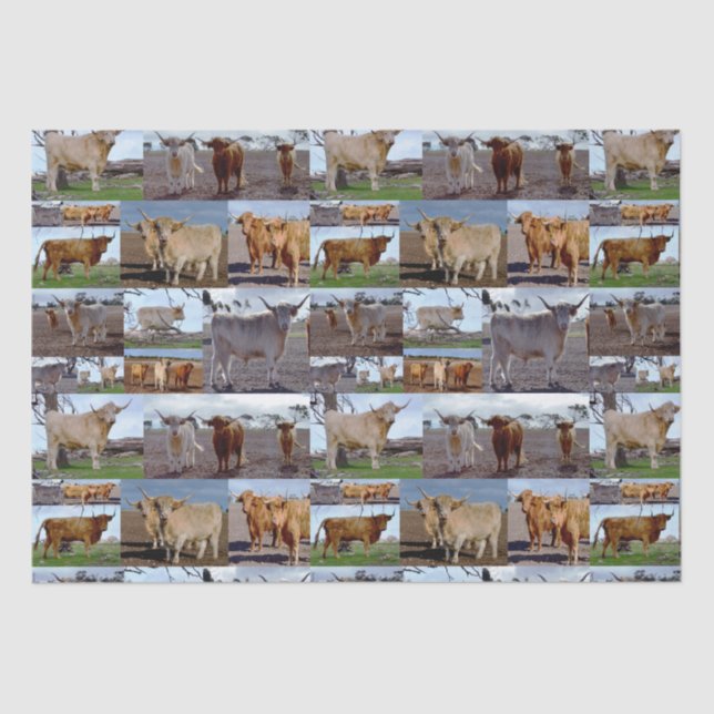 Papel De Seda Glória do Planalto: Uma Colagem de Fotos de Vacas  (Frente )