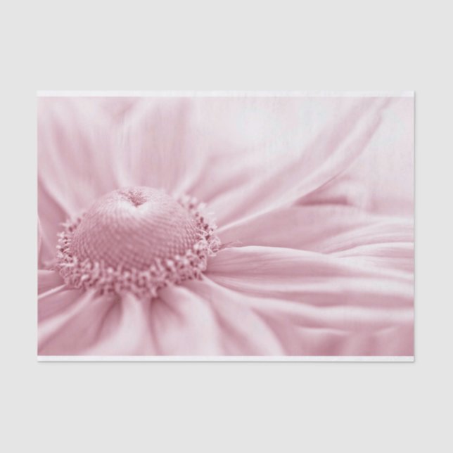 Papel De Seda Gloriosa Daisy Macro (Frente )